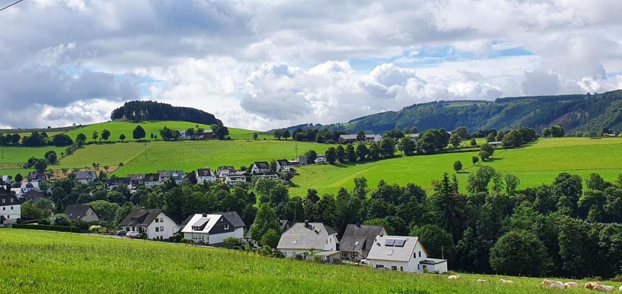 Ferienhaus Junge Ruhr Olsberg Exteriér fotografie